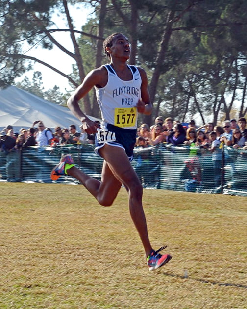 Falcons Give Good Effort at State