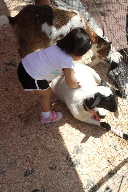 Fun For All Found in Montrose and Glendale