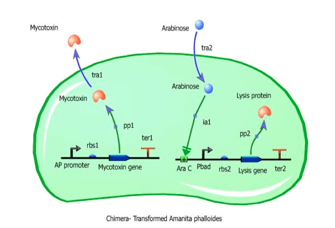 Future Scientists Recognized for their Achievements