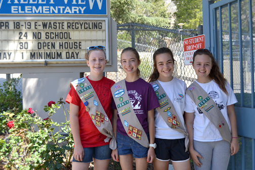 Valley View Beautification