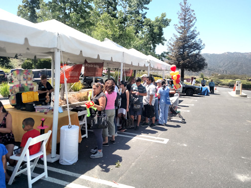 Community Turns Out for Health Fair