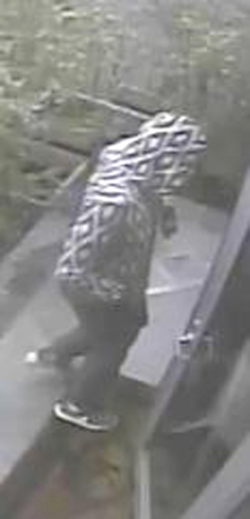 PHOTO 3 user36953-1432664869-media3_8e9083_116_240_PrsMe_