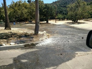 11655373_919817358077241_1262203080_n