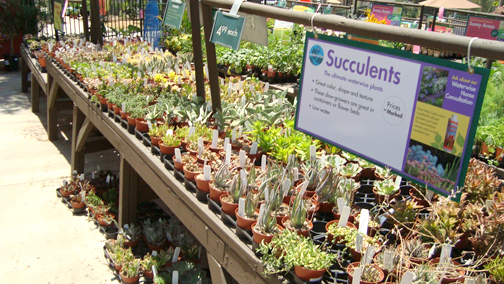 Coping with Conserving