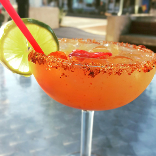 11247893_10152919495451262_7943583771309680794_n