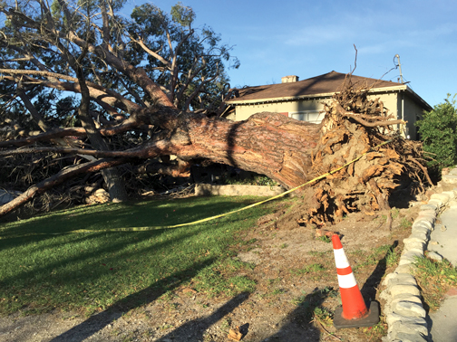 JANUARY MAIN pg 3 ART web