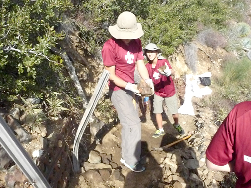 eagle project 1.16.2016 983