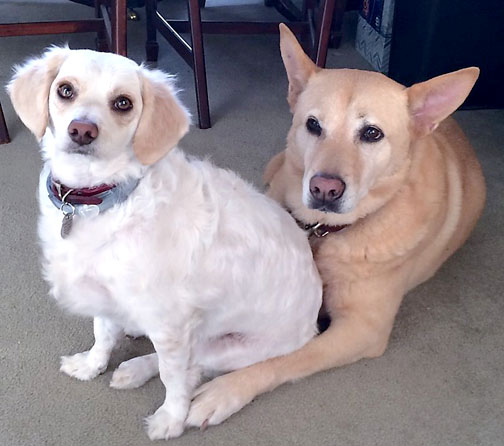 »Montrose shopping park news