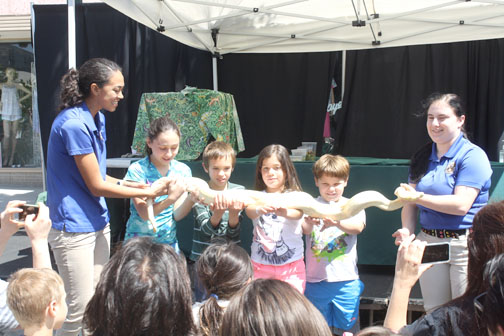 Thousands Turn Out for Day of Pets, Food and Fashion