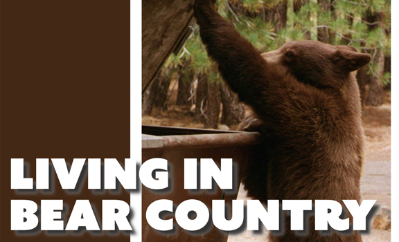 Living in Bear Country