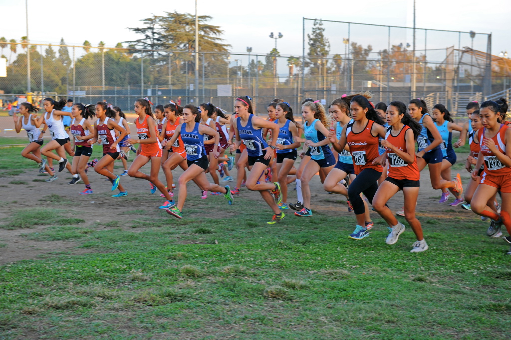 Falcons Take Third at Pacific League Meet
