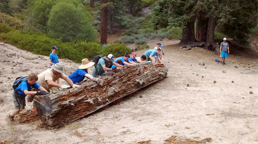 img_20160820_140115949