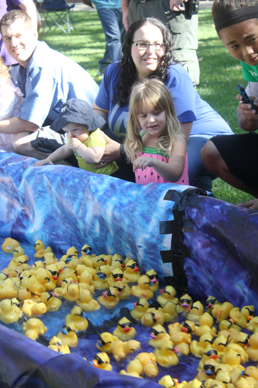 Photos by Robin GOLDSWORTHY Olivia Brown, 3, with her mom Catherine of North Hollywood watch as the ducks make their way down “Lake Glendale” at Verdugo Park during the Kiwanis Incredible Duck Splash held on Saturday. 