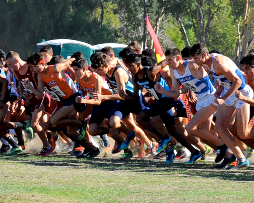 dsc_0403a-8-x-10-web