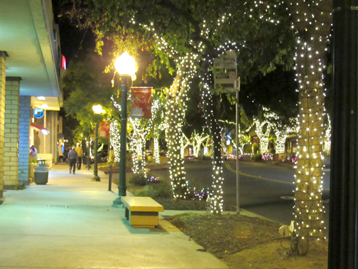 ‘Grinch’ is Stealing Lights in Montrose ‘Grinch’ is Stealing Lights in Montrose