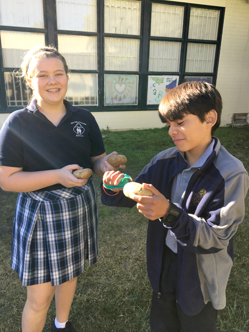Potato Peel-a-Thon Potato Peel-a-Thon
