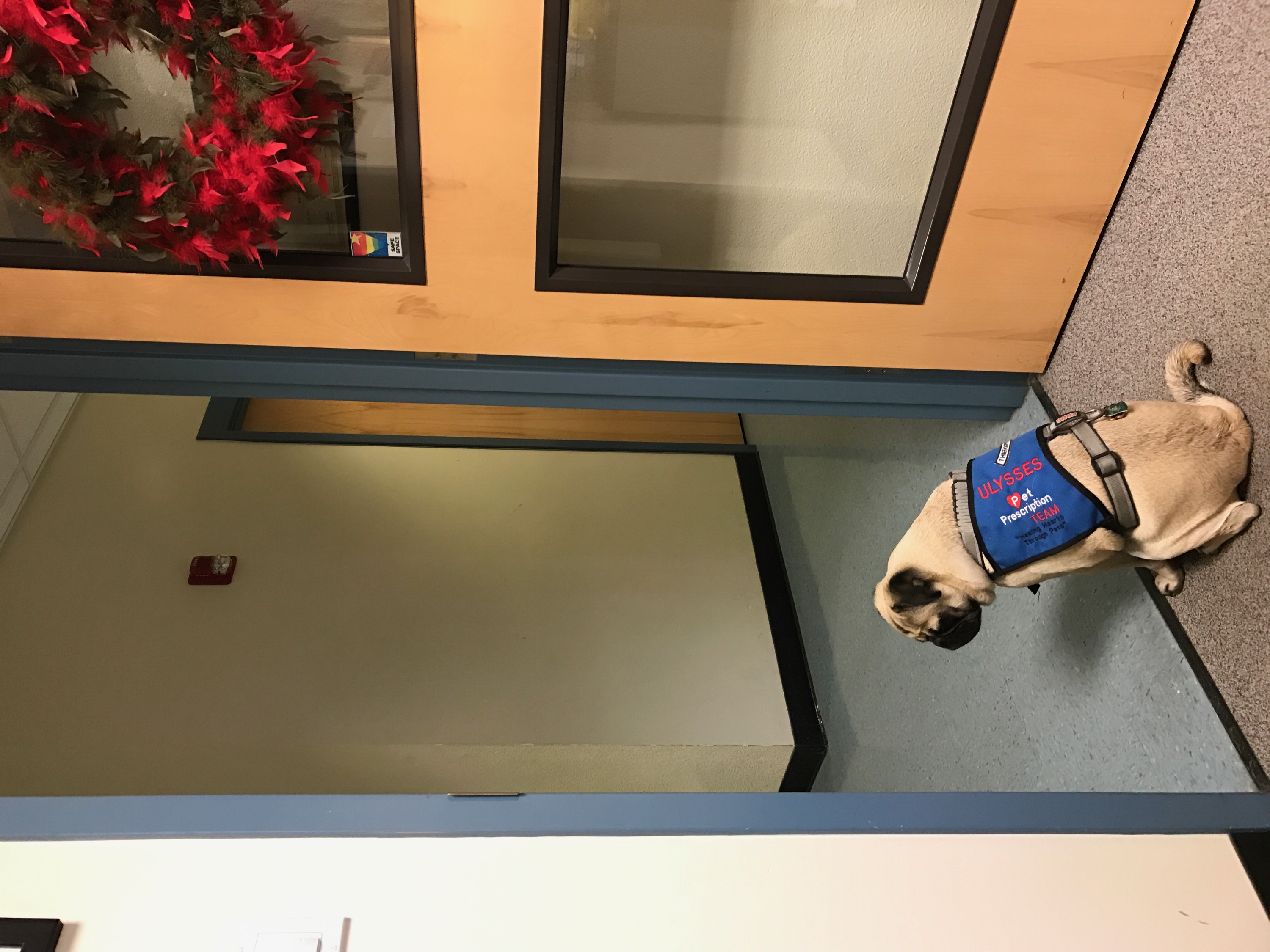 Compassion is the Word of the Month