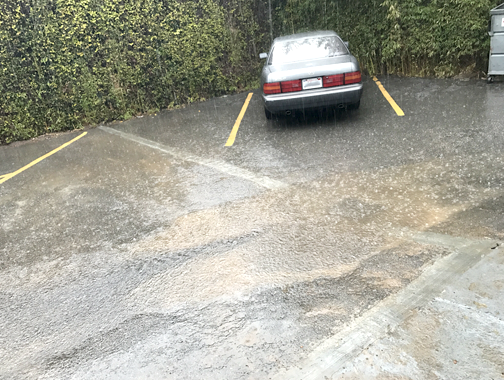 Not Ready Yet for Rain to Go Away