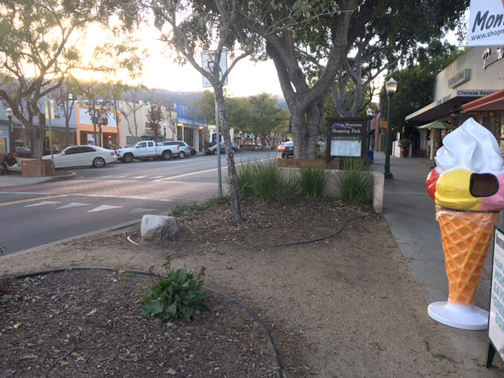 Good-bye to Citibank, Hello to Grass