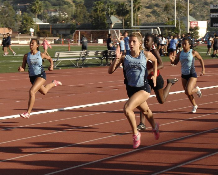 Falcons Triumphant over Nitros in Dual Meet