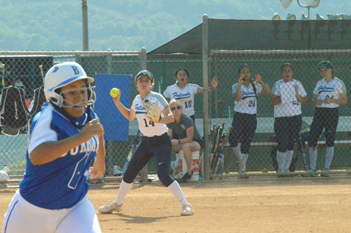 CV Softball, Baseball Cruising Along