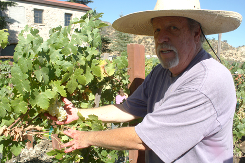 Heat Doesn’t Deter Harvest