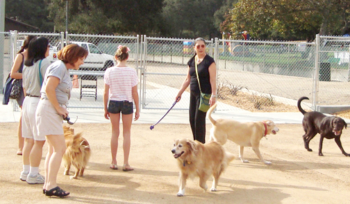 5th Annual Dog Park Festival Planned