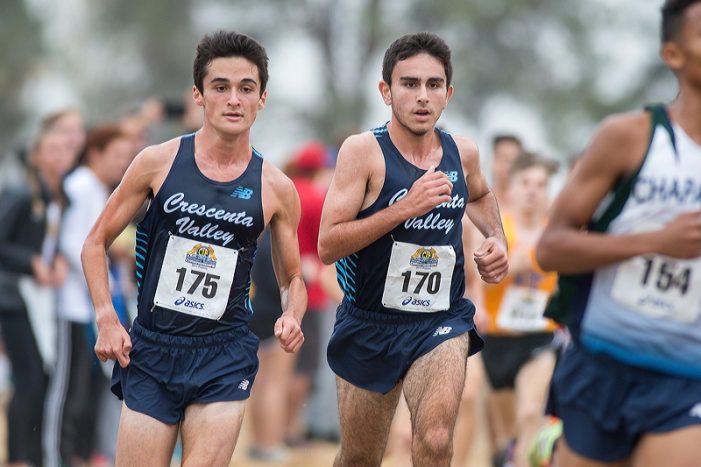 Falcons Boys and Girls Qualify for Cross-Country Finals