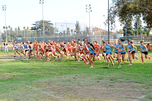 Falcons Run Away with Pacific League Championship Title
