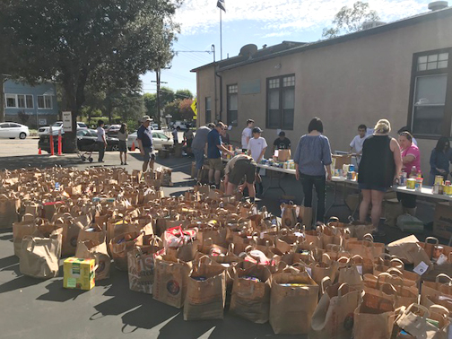 Local Troop Takes Part in Scouting for Food