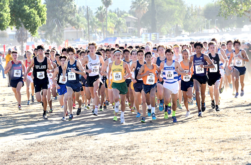 Falcons Move Forward to State