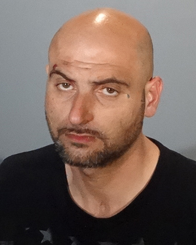 Felony Evading Arrest Made