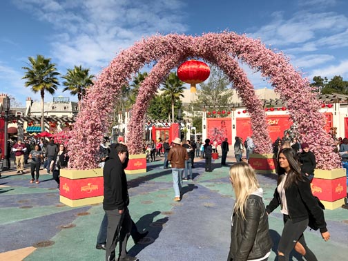 Lunar New Year Celebrations