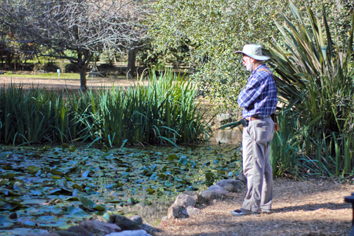 A Walk in the Garden