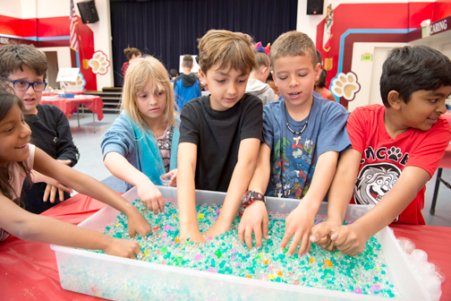 Introducing Lincoln’s Science Fair Sweethearts