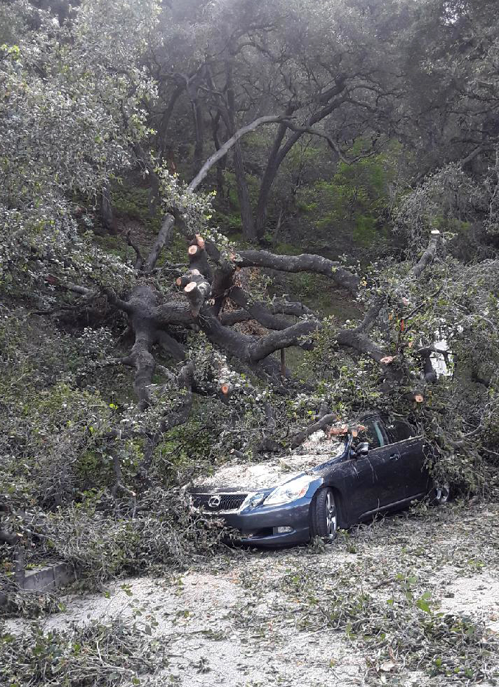 Photos by Rachelle MILLER