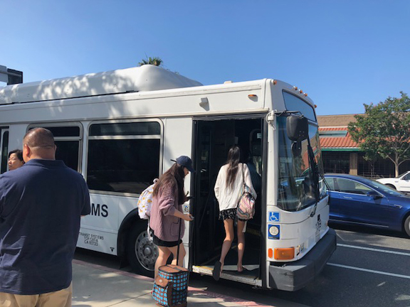 Summertime Equals Beach Bus Time