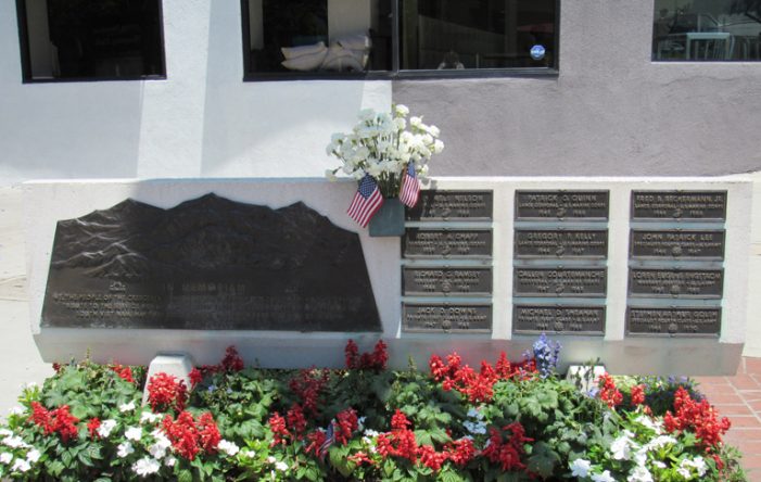 Vietnam Memorial: A Sentinel for 50 Years