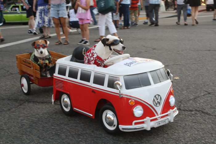 Cruise Night Ends with a Bang