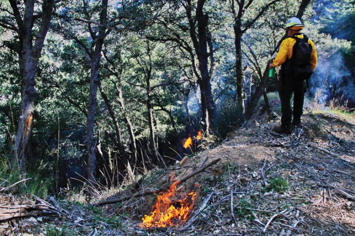 Dealing with Unbearable Heat