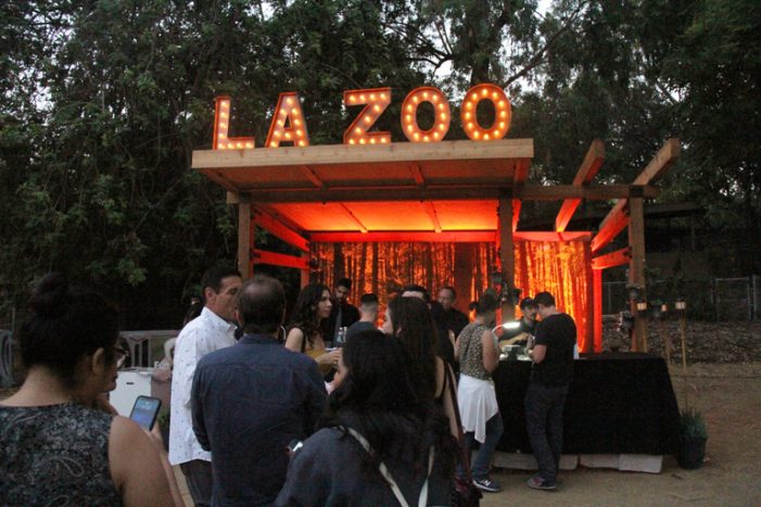 Roaring Nights at the LA Zoo