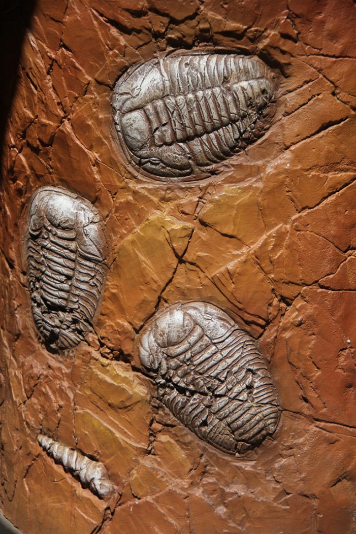 A Tearful Farewell to Jurassic Park – the Ride