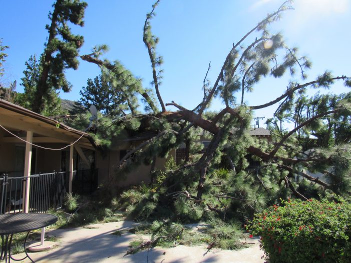 High Winds Cause Problems in Crescenta Valley and Surrounding Areas