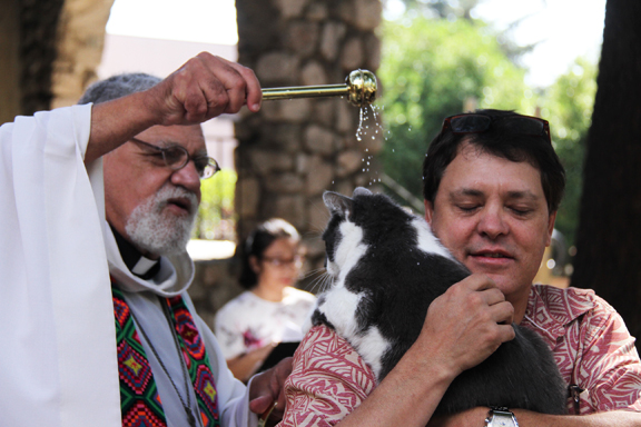 St. Luke’s Celebrates Blessing of the Animals