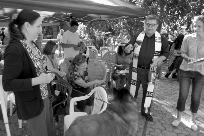 Blessing of the Animals at St. Luke’s