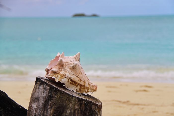 Year in Review: Travel and Leisure