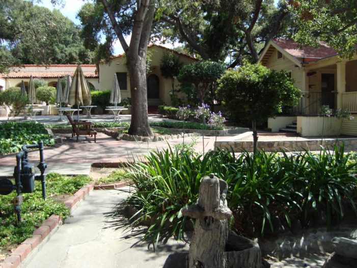 Friends of Rockhaven Delivered Tough Blow