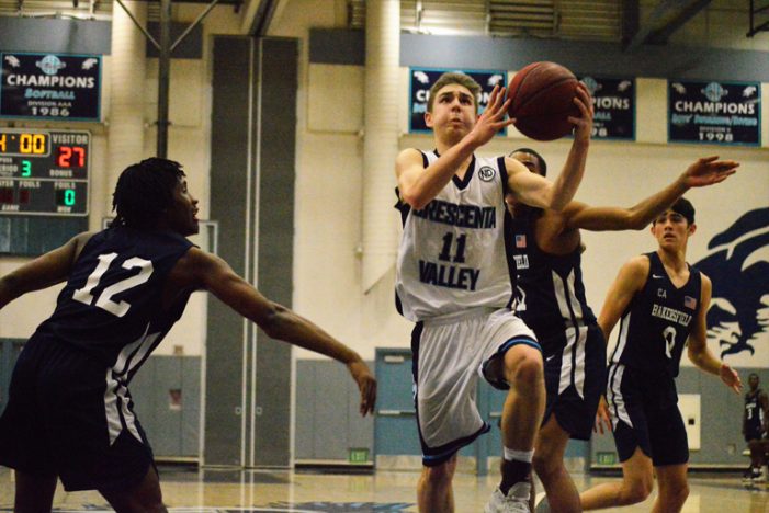 Falcons Advance in State Playoffs