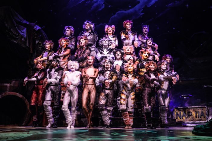 Captivating ‘Cats’ Comes to the Pantages