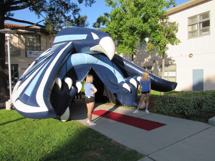 Celebrating Back to School 2019